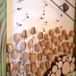 Scopri di più sull'articolo Il riuso incontra l’Arte