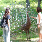 Scopri di più sull'articolo Trentino dei Bambini! luoghi da scoprire in Val di Non